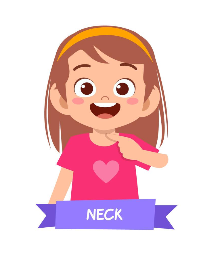 Neck