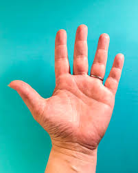Hands