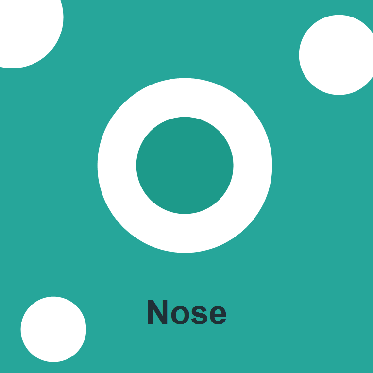 Nose